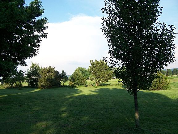 Front Porch View