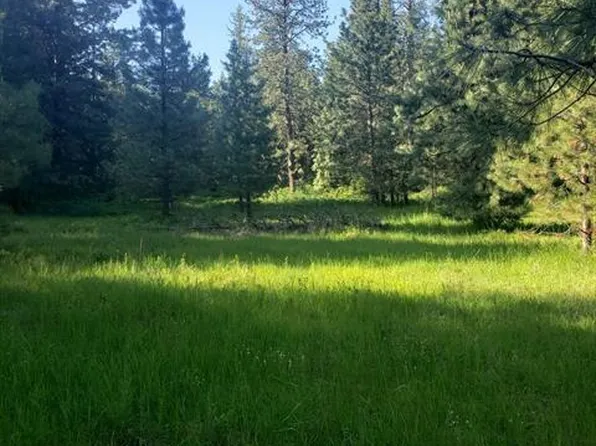 Bussard Lake Rd, Loon Lake, WA 99148