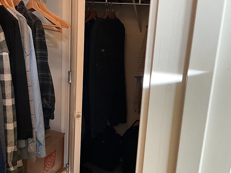 Master bedroom closets