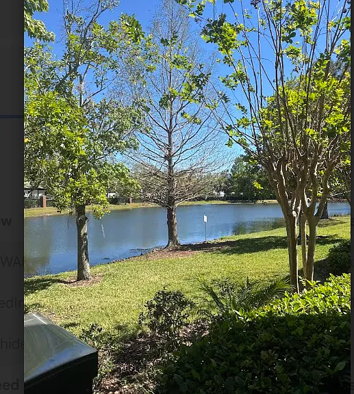 4819 Fiorazante Ave — Photo 10