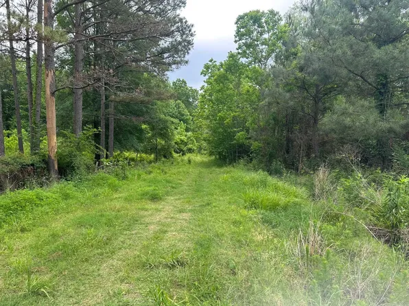 Ashley Road 482, Fountain Hill, AR 71642