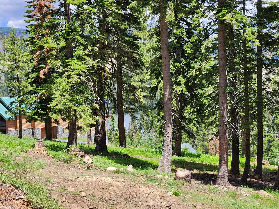 2nd image of 332 Snowshoe Rd