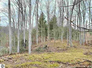 0 Walker St, Benzonia, MI 49616