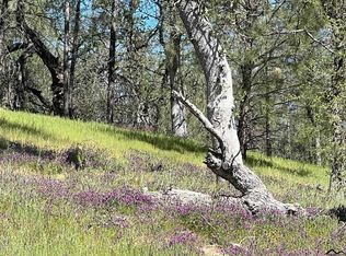 7260 Bluebird Rd, Corning, CA 96021