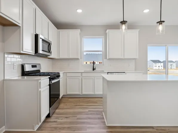 15028 Athenry Bay, Rosemount, MN 55068