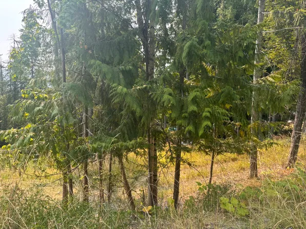LOT 170 Estate Close, Columbia Shuswap, BC V0E 1M8