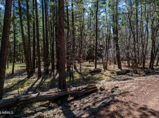 29 Sandige Ln, Mormon Lake, AZ 86038