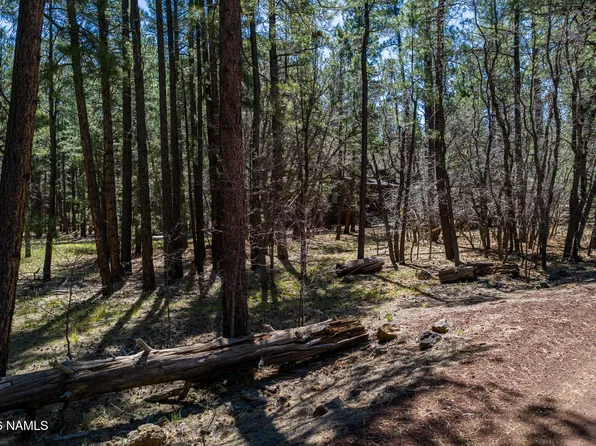29 Sandige Ln, Mormon Lake, AZ 86038