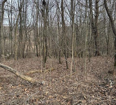 5th image of 4311 S Youngman Rd