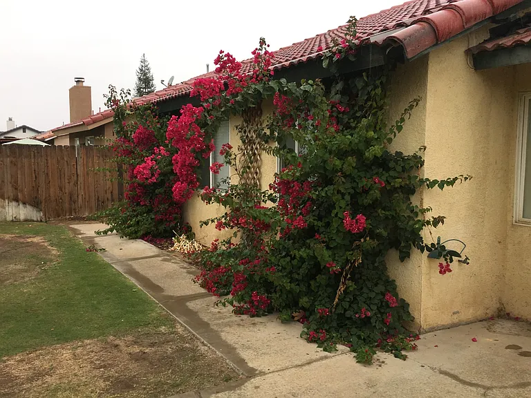 8915 Mendocino Dr — Photo 9