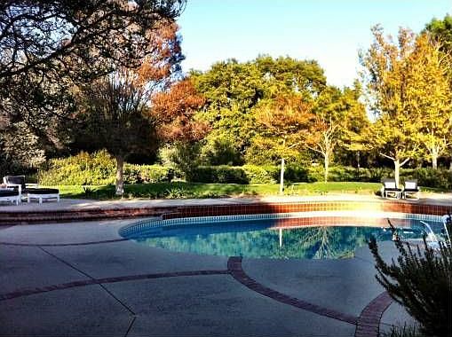 Tree Lined Pool Area