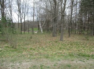 12875 Riverview Dr, Gowen, MI