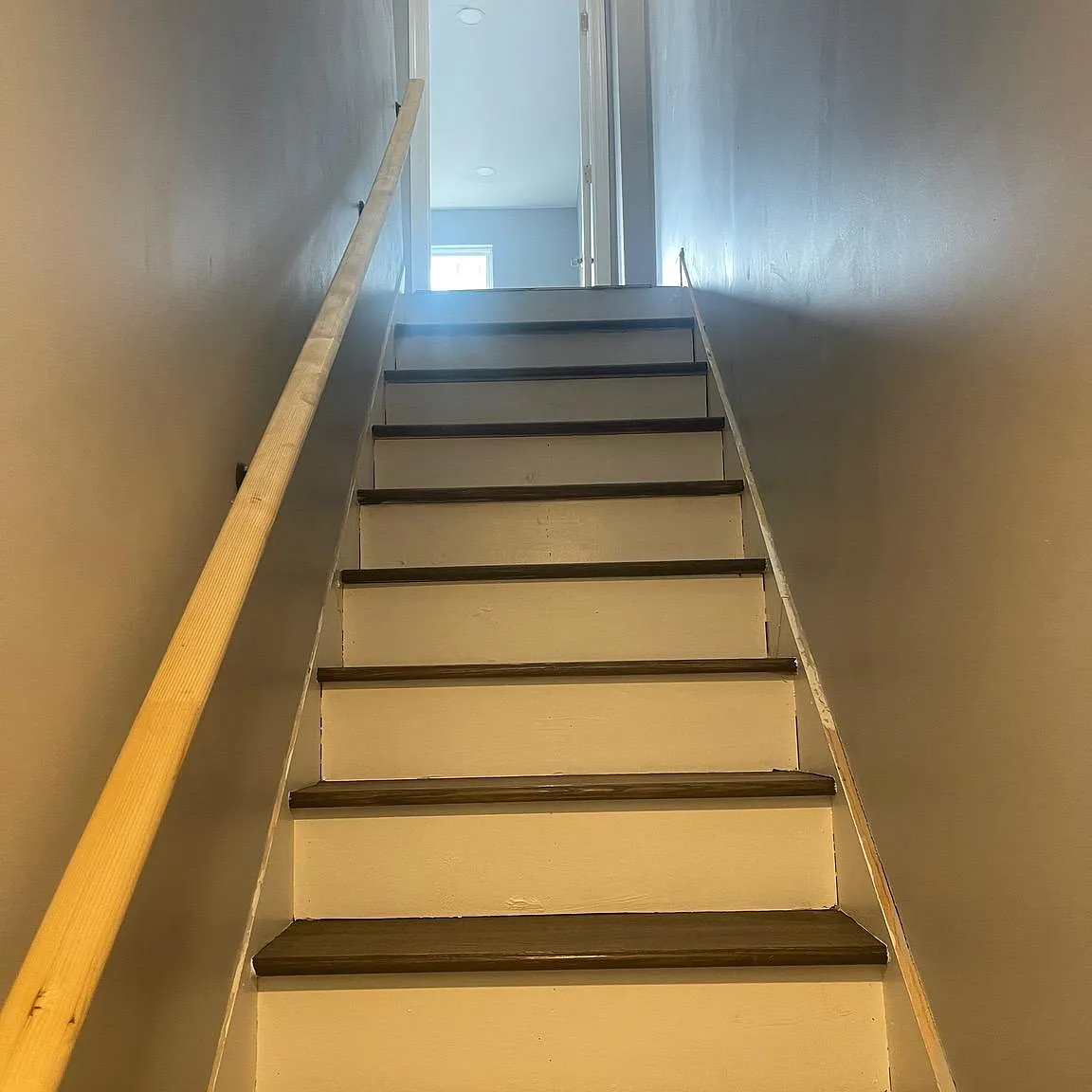 1 bed, 797 sqft, $1,100 — Photo 1