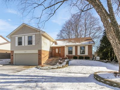 1109 Carriage Ln, Schaumburg, IL, 60193