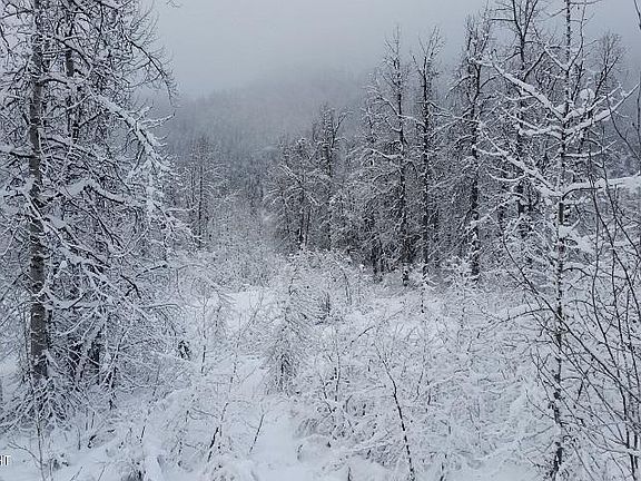 5th image of 31 Haines Hwy