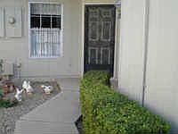 1st image of 17435 N 105th Ave