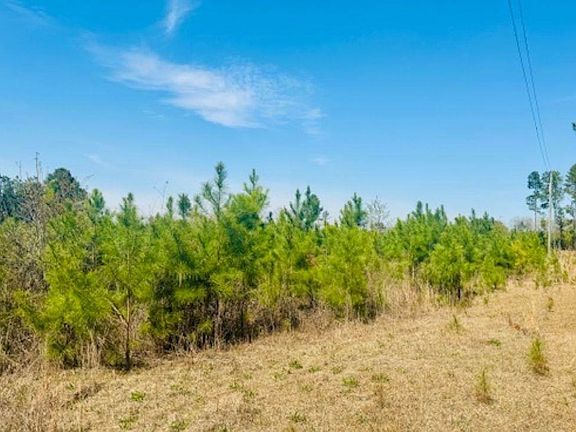 3rd image of 415 Hawkins Rd