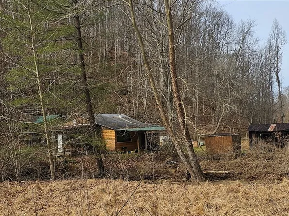 468 Right Crummies Creek Rd, Arnoldsburg, WV 25234