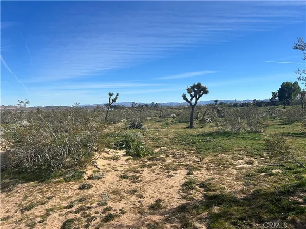 55725 Napa Rd Lot 5, Landers, CA 92285