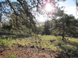 990 Corral Rd, Hartsel, CO 80449