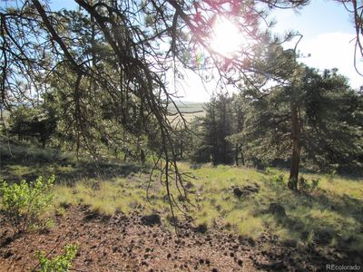 990 Corral Road, Hartsel, CO, 80449
