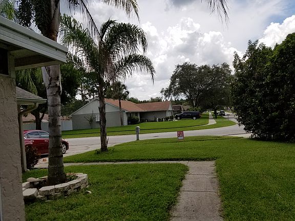 Looking out the front door