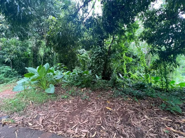 Carr 349 Km 1.01 Bo Quebrada Grande, Mayaguez, PR 00680