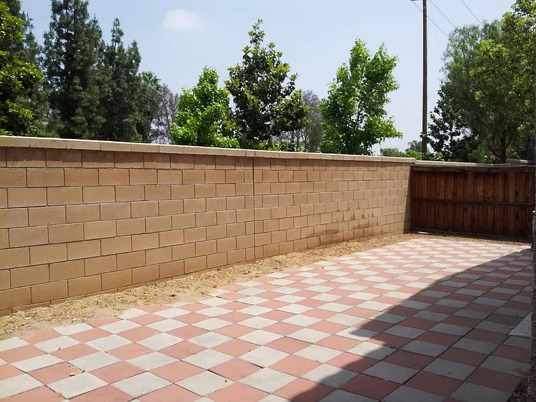 low-maintenance backyard