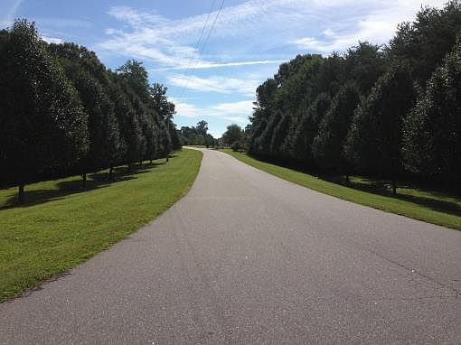 1st image of Donsdale Dr