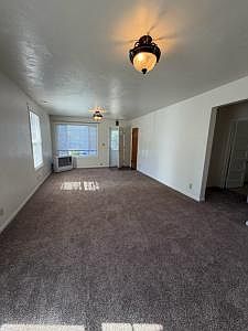 cedar 4_09292026