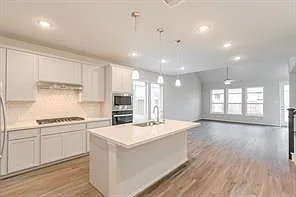 8482 International Falls Dr — Photo 30