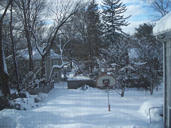 Partially Fenced Backyard