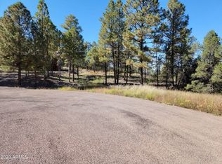 1914 Pinetop Dr #186, Overgaard, AZ 85933