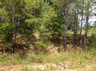 0 Mallory Ct, Byron, GA 31008