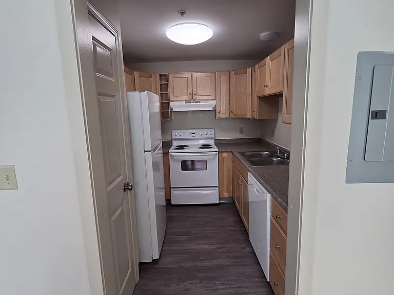 393 Spruce St #3 — Photo 4