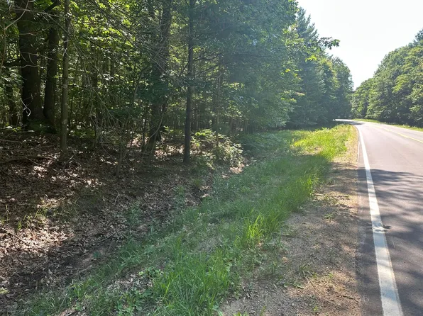 V L Ridge Rd, Mears, MI 49436