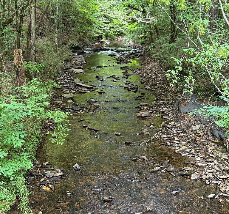 1st image of 1634 Carman Way