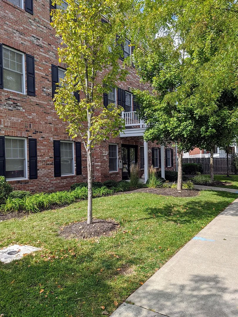 Suburban Square Apartments in the heart of Metuchen — Photo 4