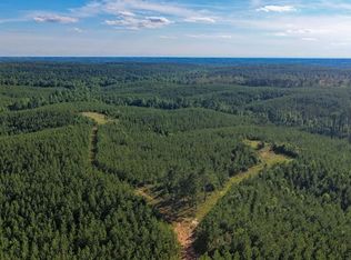 0 Cowpath Rd, Red Bay, AL 35582