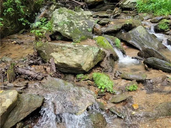 TBD Willis Gap Mountain Road, Fancy Gap, VA 24328