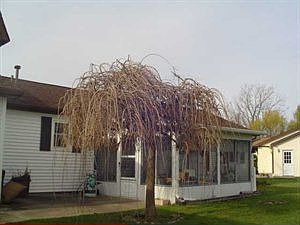 2nd image of 3235 Northway Dr
