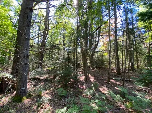 E Forteen Mile Rd, Sault Sainte Marie, MI 49783