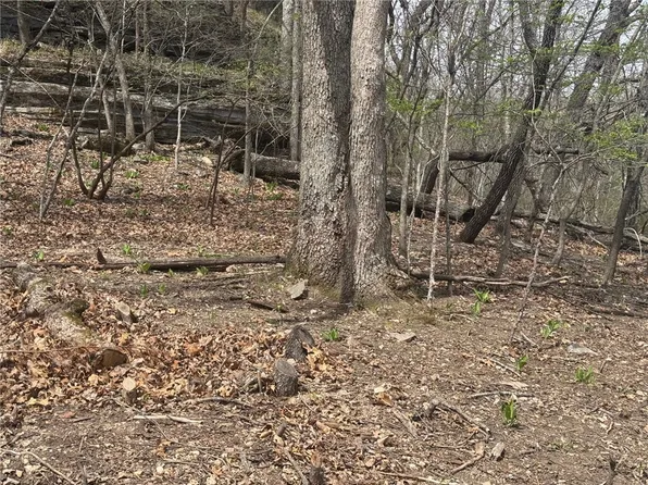 LOT 35 Dogwood Dr, Garfield, AR 72732