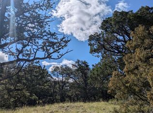 1813 Rockyview Way, Crestone, CO 81131