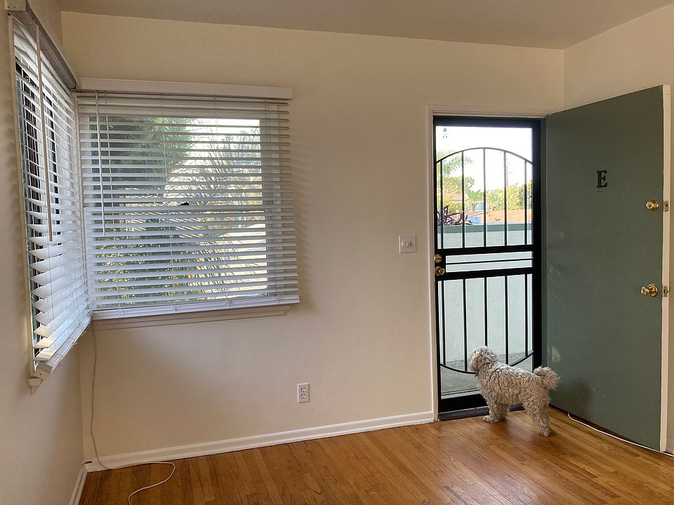 Dog not included!