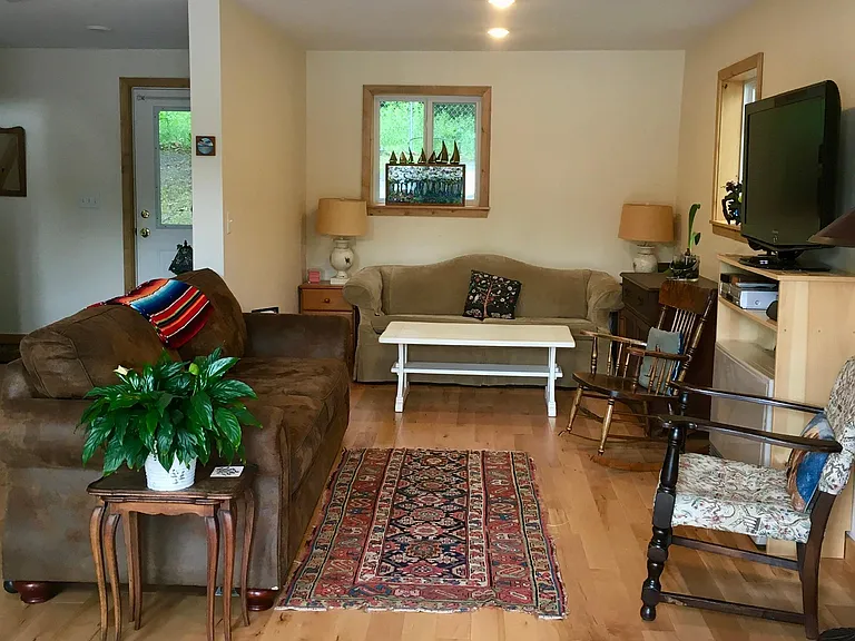 Living room with pull out sofa bed