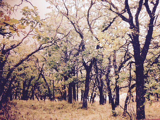 1st image of 13 Evenson Oak Mtn