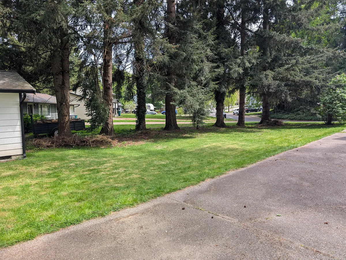 Front yard - 20606 64th Dr NE