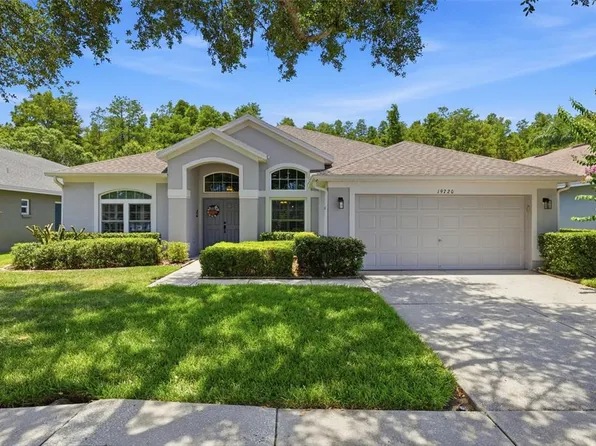 19720 Morden Blush Dr, Lutz, FL 33558