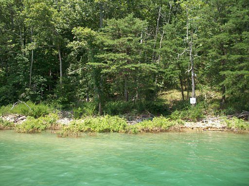 2nd image of Norris Shores Dr